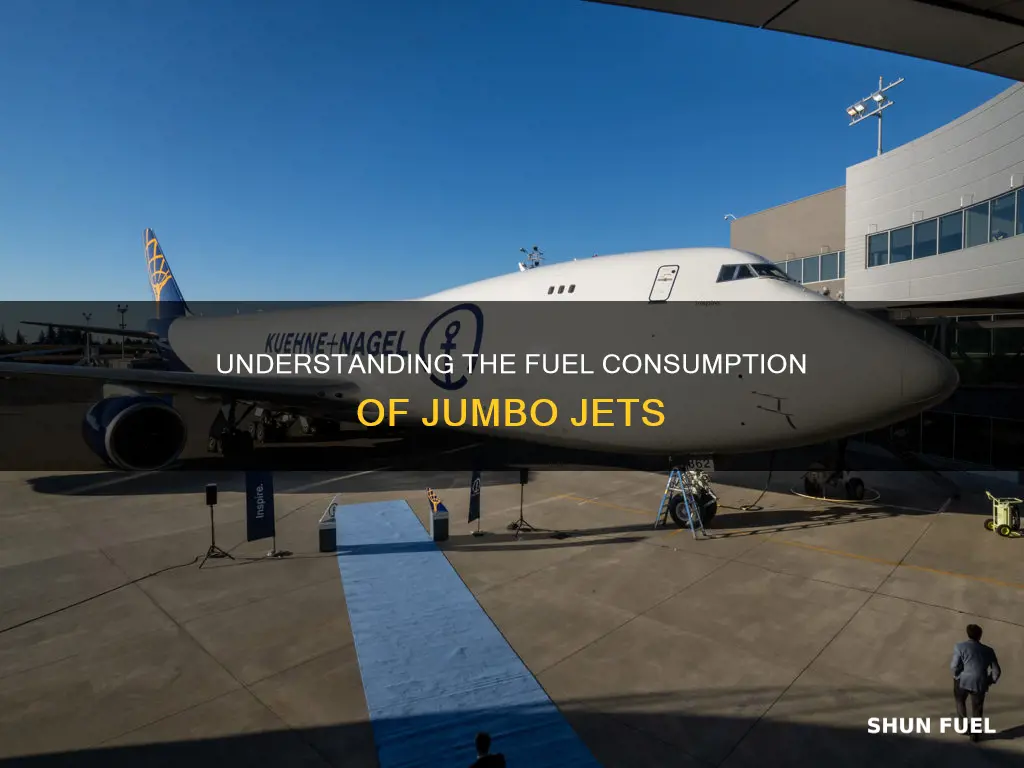 how much fuel does a 747 use per hour