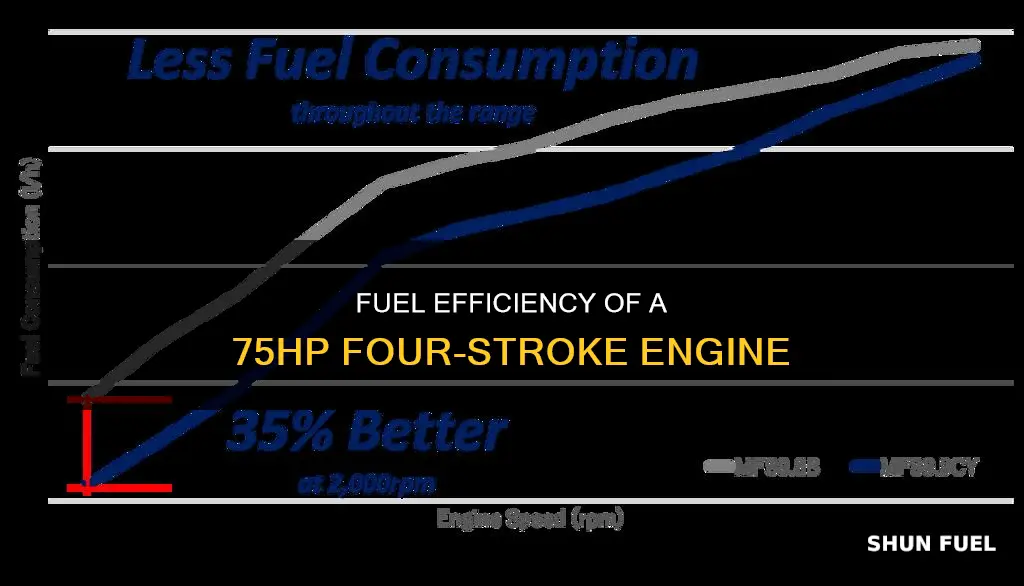 how much fuel does a 75hp four stroke use