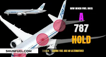 The 787's Fuel Capacity: Understanding its Limits and Efficiency