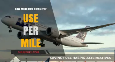 Dreamliner Efficiency: Fuel Usage Per Mile Explored