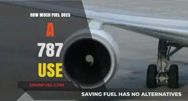 Fuel Efficiency Explained: How Much Does a 787 Consume?