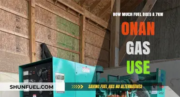 Onan 7kW Gas Generators: Fuel Consumption and Efficiency