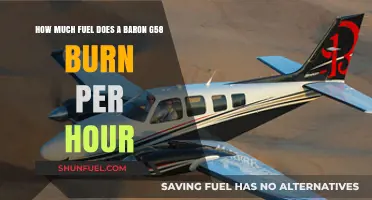 Baron G58 Fuel Efficiency: Burning Per Hour