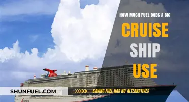 Cruise Ships' Fuel Consumption: A Costly Affair