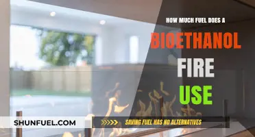 Bioethanol Fires: Fuel Efficiency and Cost Savings