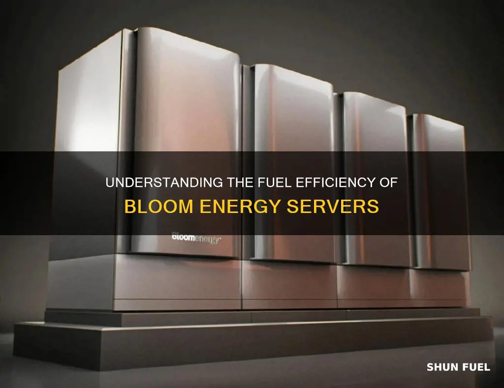 how much fuel does a bloom box use