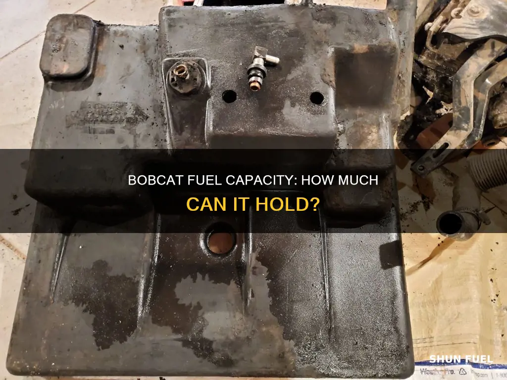 how much fuel does a bobcat hold