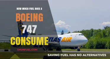 The Fuel Efficiency of a Boeing 747: How Much Does It Consume?