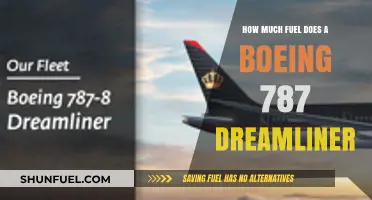 Fuel Efficiency of the Boeing 787 Dreamliner