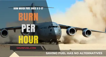 Fuel Consumption of a C-17: Burning Up the Sky