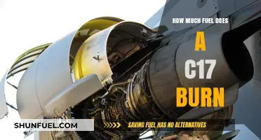 Fuel Consumption of the C-17: Burning Questions Answered