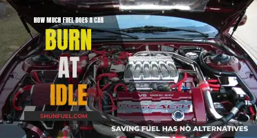 Uncovering the Mystery: How Much Fuel Does Your Car Burn at Idle?