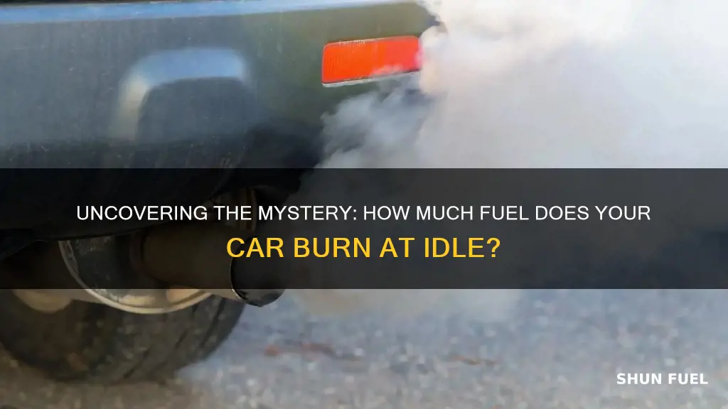 how much fuel does a car burn at idle