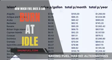 Idle Car Fuel Consumption: How Much is Too Much?