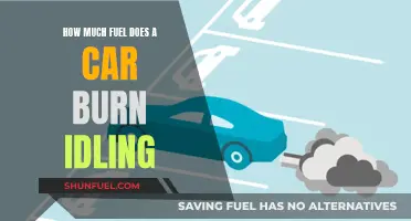 Idling Cars: Burning Fuel, Wasting Money and Polluting Air