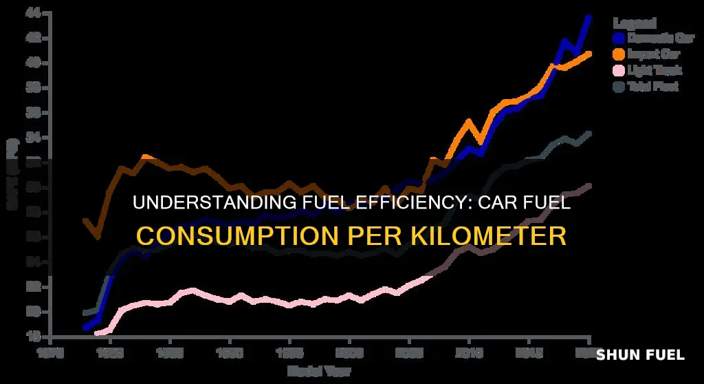 how much fuel does a car consume per kilometer