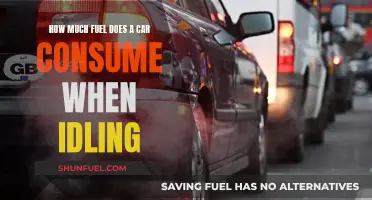 Idling Cars: Fuel Consumption and Environmental Impact