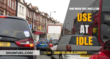 Idling Cars: Fuel Consumption and Environmental Impact