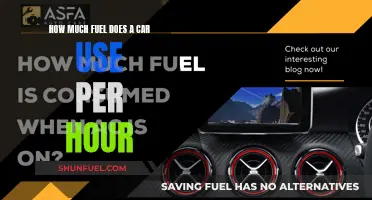 Fuel Consumption: How Much Does Your Car Guzzle?