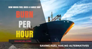 Cargo Ship Fuel Consumption: Hourly Burn Rates Explored