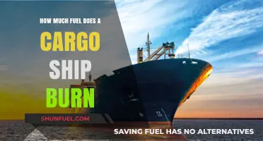 Cargo Ships: Fuel Consumption and Environmental Impact