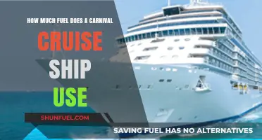 How Much Fuel Does a Carnival Cruise Ship Consume?