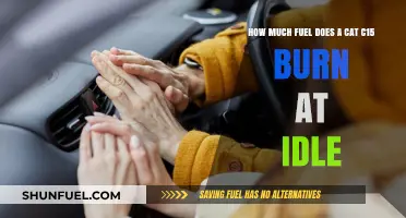 Idle Fuel Consumption of Cat C15 Engines