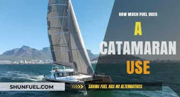 Catamarans: Fuel Efficiency and Performance