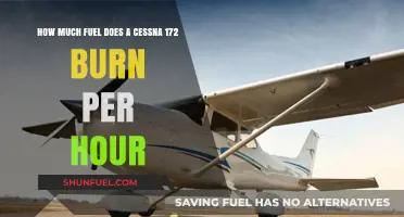 Understanding Cessna 172 Fuel Consumption