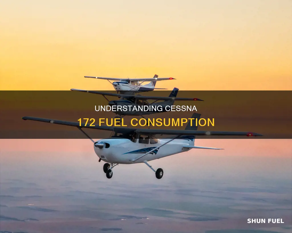 how much fuel does a cessna 172 burn per hour