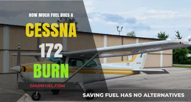 Fuel Efficiency of Cessna 172: How Much Does it Burn?