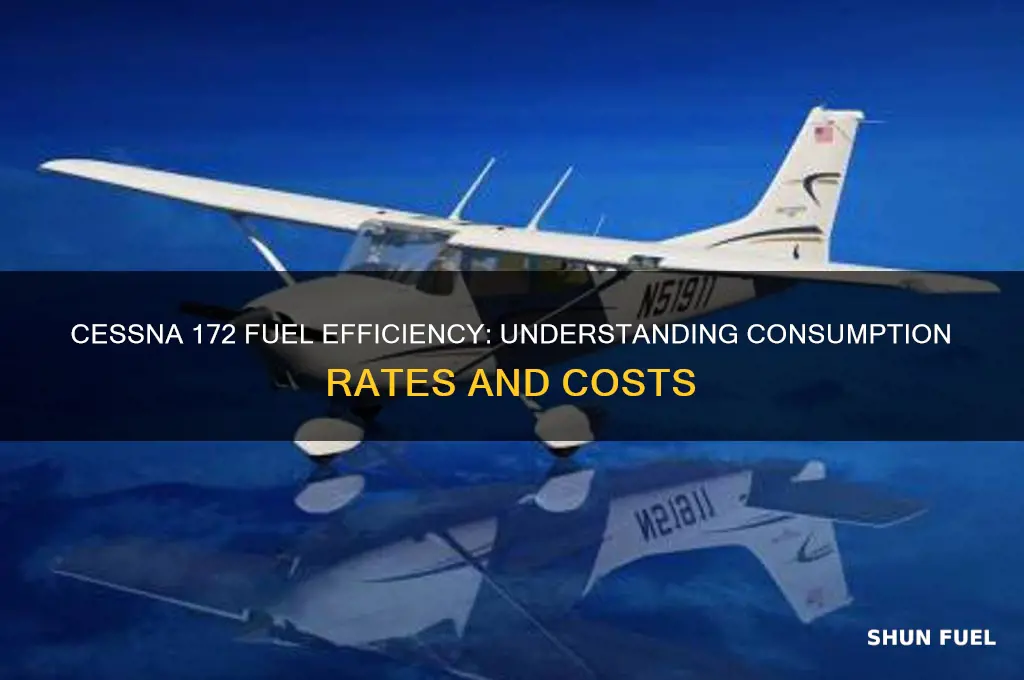 how much fuel does a cessna 172 use