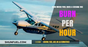 Cessna 182 Fuel Consumption: How Much Per Hour?