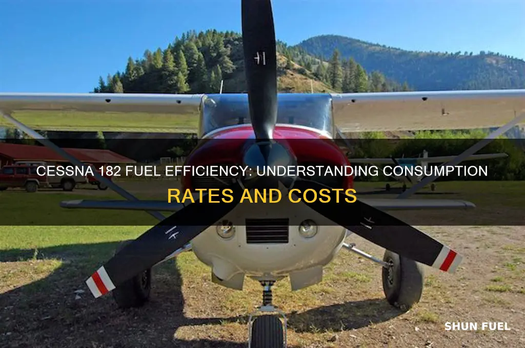 how much fuel does a cessna 182 use
