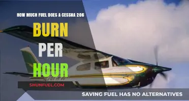 Cessna 206 Fuel Efficiency: Burning Questions Answered