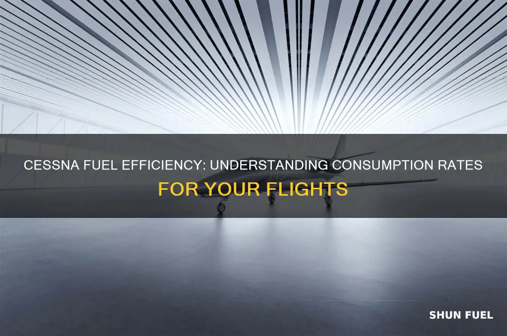 how much fuel does a cessna use