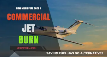 Fuel Consumption of Commercial Jets: Burning Questions Answered