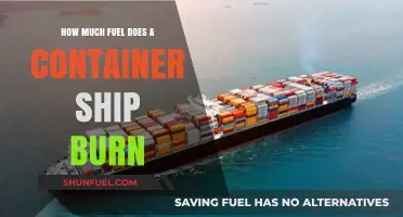 Container Ships' Fuel Consumption: How Much is Too Much?