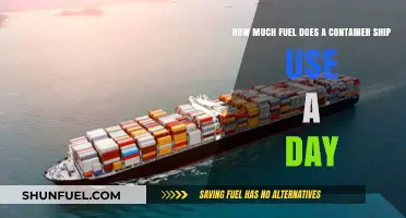 Container Ships: Daily Fuel Consumption Insights