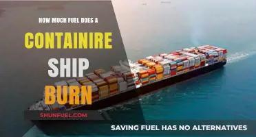 The Energy Consumption of Container Ships