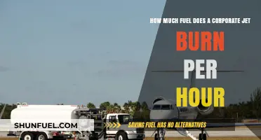Corporate Jet Fuel Efficiency: Burning Question