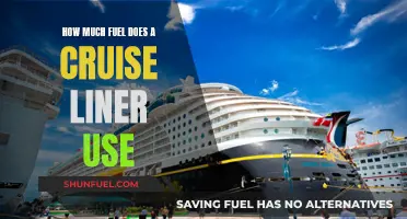 Cruise Liners: Fuel Consumption and Efficiency Explored