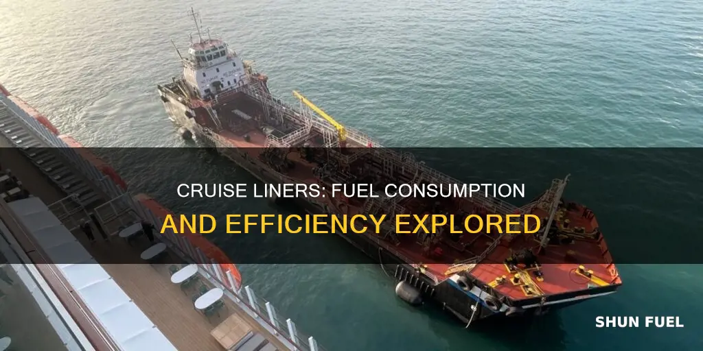 how much fuel does a cruise liner use