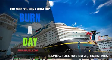 Cruise Ships: Daily Fuel Consumption and Costs
