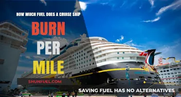 Cruise Ships: Fuel Consumption and Environmental Impact