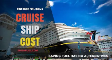 Cruise Ships' Fuel Consumption: What's the Cost?