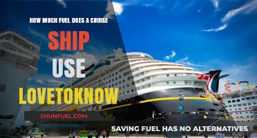 Cruise Ships: Fuel Consumption and Environmental Impact