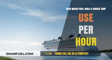 Cruise Ships: Hourly Fuel Consumption Insights