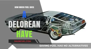 Exploring the DeLorean's Fuel Capacity: How Much Can It Hold?