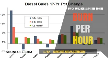 Understanding Diesel Engine Fuel Consumption Rates